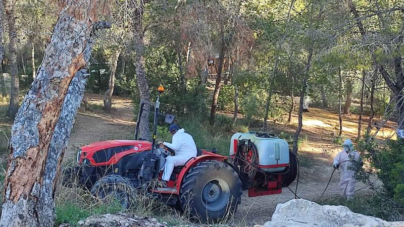 Alumnos del Taller de Empleo realizan trabajos contra la procesionaria del pino en el parque de El Moralet